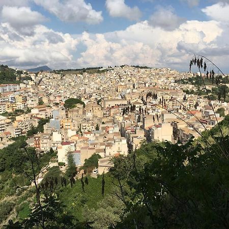 Apartamento La Domus Di Segesta Calatafimi Exterior foto